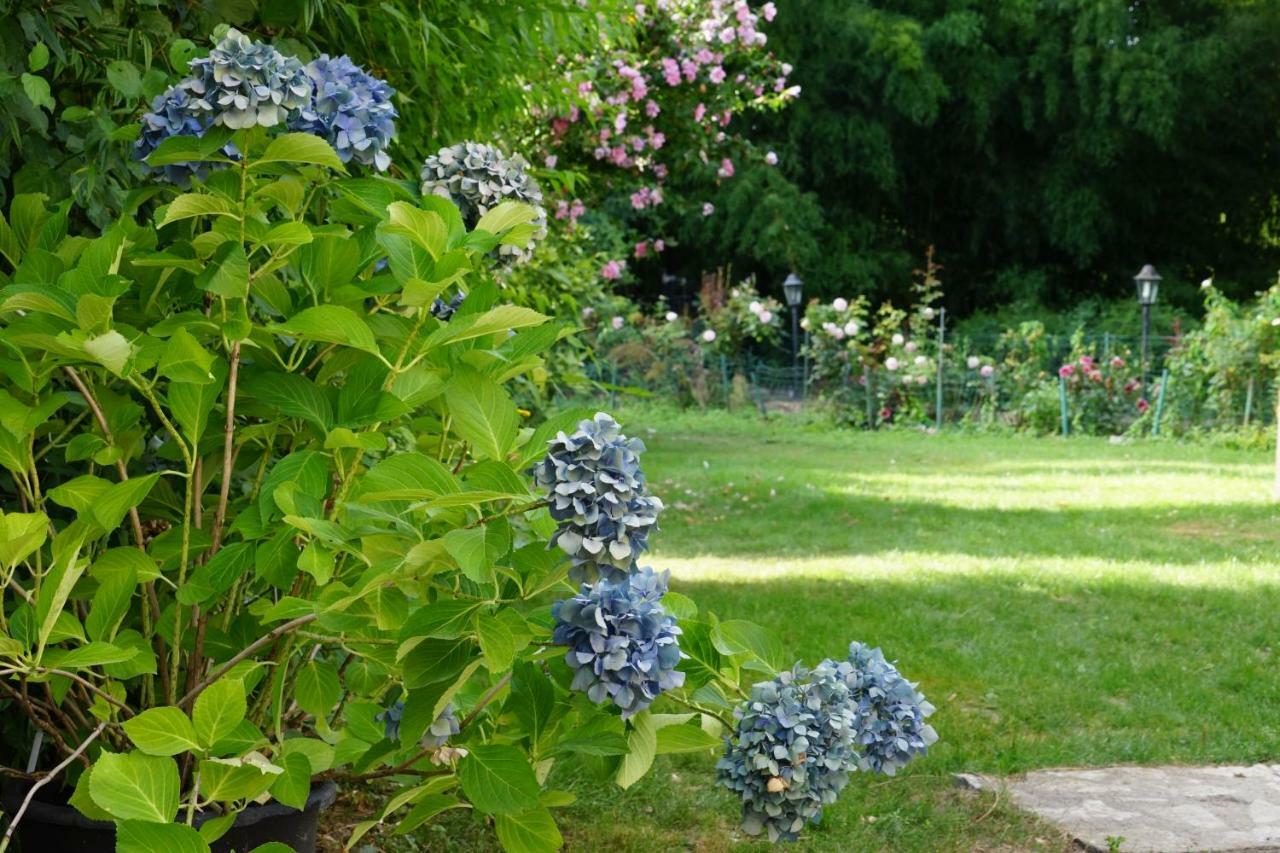 Le Moulin De La Planche Bed and Breakfast Chanceaux-sur-Choisille Buitenkant foto